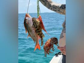 A successful fishing trip showcasing a variety of freshly caught seafood, including fish and lobster, against a stunning ocean backdrop.