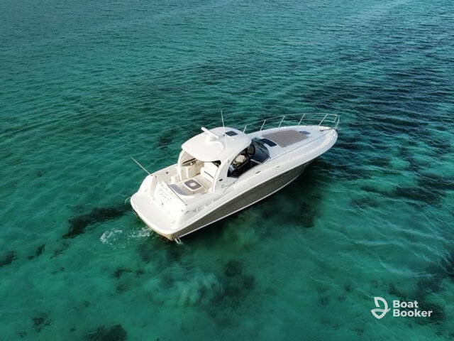 Listing image 1209341