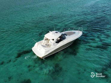 Private Yacht Sea Ray 41ft to Saona Island