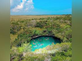 A vibrant group enjoys a refreshing swim in a natural pool surrounded by lush greenery — a perfect outdoor adventure for nature lovers.