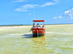 A vibrant boat approaches a sandy beach, with guests enjoying the ride — a perfect scene for a day of adventure on the water.
