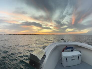 Charter SRQ