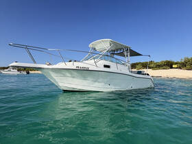 A sleek boat captured in clear turquoise waters, showcasing its elegant design against a sunny backdrop — perfect for day trips and adventures on the water.