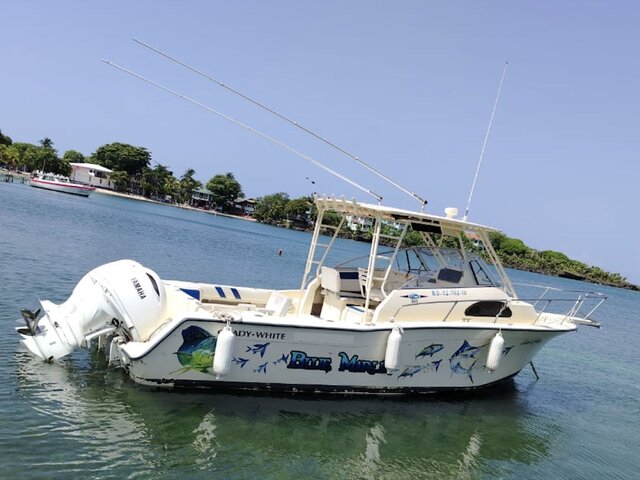 Listing image 1205008