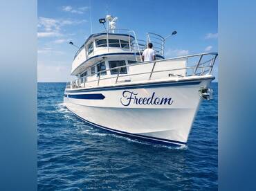 Freedom