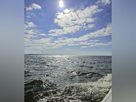 Charter Image