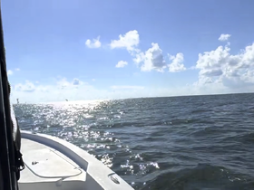 Charter Image