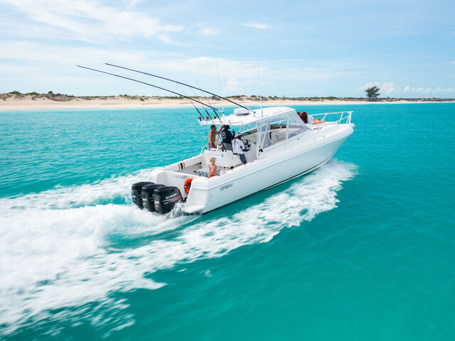 Listing image 1205502