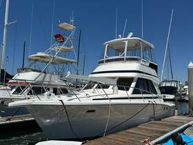 A stunning yacht docked at the marina, showcasing its sleek design and spacious upper deck, perfect for luxury outings on the water.