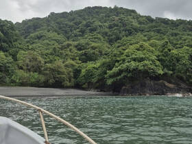 A scenic view of lush greenery along the coastline, captured from a boat, showcasing the natural beauty of the area — perfect for eco tours and nature lovers.