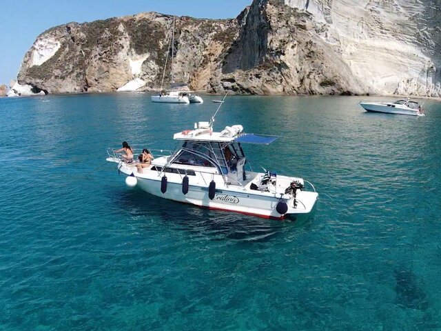 Listing image 1208266