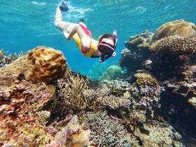A young snorkeler explores vibrant coral reefs underwater, showcasing the beauty of marine life and the thrill of snorkeling adventures.