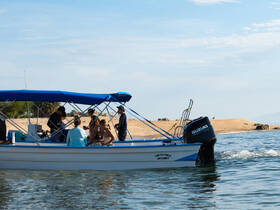 A lively group enjoys their time aboard a boat near the beach, showcasing the fun and camaraderie of water activities.