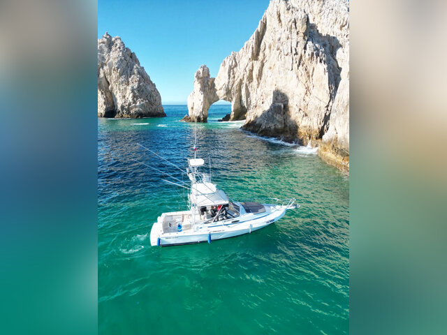 Listing image 1211026