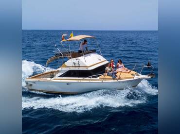 Whales Watching - 3 hours trip