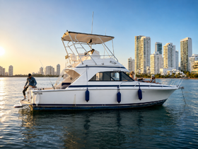 A group enjoys a sunset on the boat 'Don Simon' with a stunning city skyline in the background, perfect for memorable outings on the water.