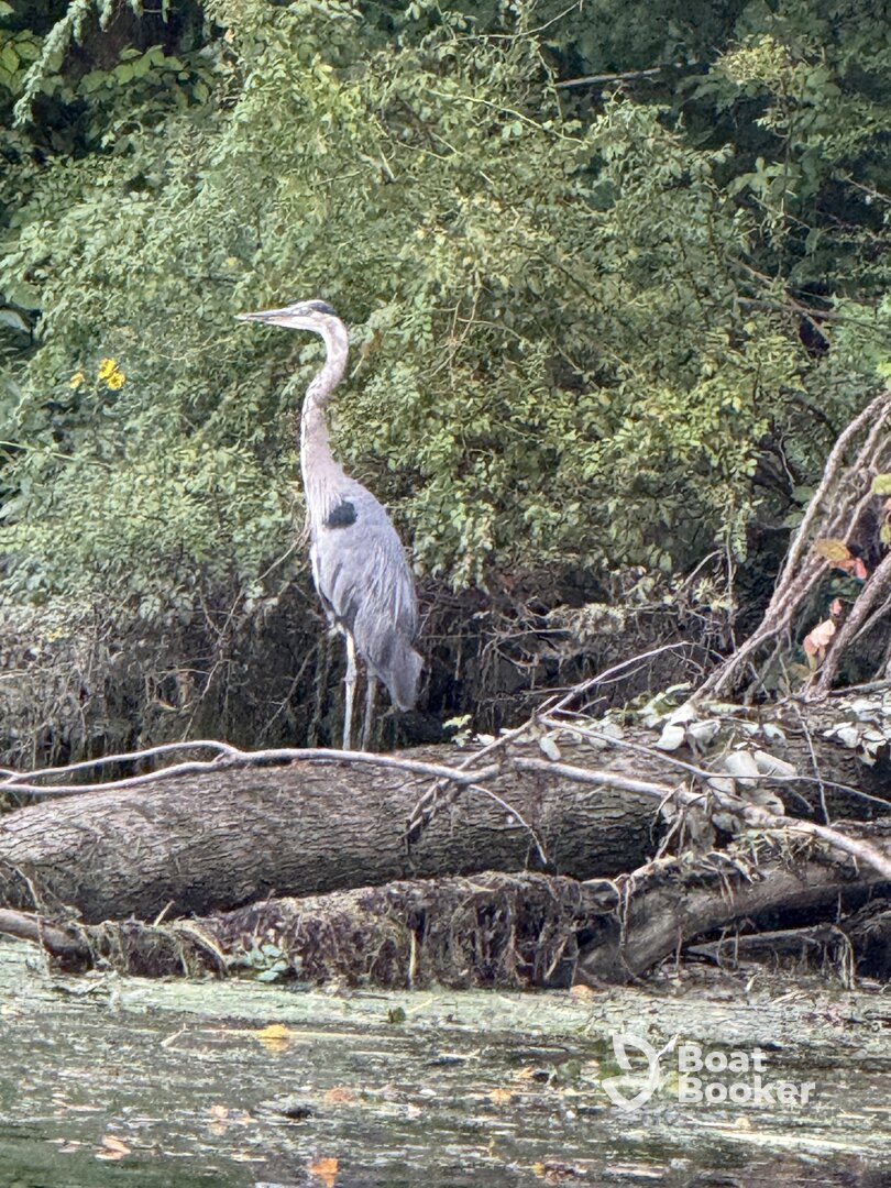 Hudson River Charters
