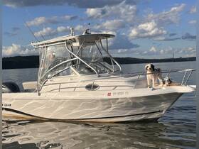 A charming speedboat glides across the water, featuring a playful dog enjoying the ride — perfect for family outings or fishing trips.