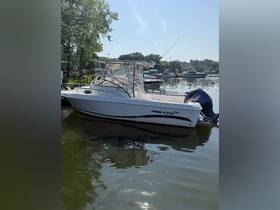A sleek Pro-Line speedboat docked at a marina, showcasing its stylish design and ready for a day on the water.