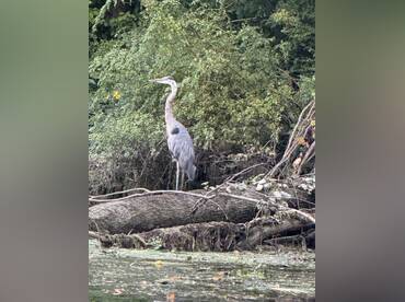 Hudson River Charters