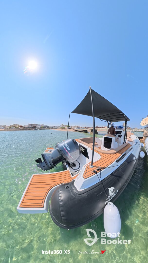 Wild Blue Premium Speed Boat