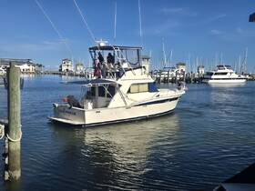The 'Lucky Enough' boat is seen departing from the marina, showcasing a beautiful day on the water with a clear blue sky.