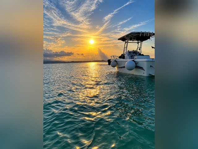 Listing image 1207265