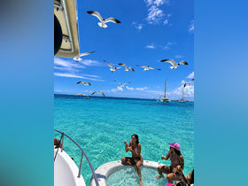 A lively group enjoys snacks while relaxing in shallow turquoise waters, surrounded by seagulls — a perfect day on the water.