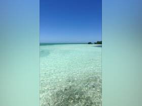 A serene view of clear turquoise waters under a bright blue sky, perfect for showcasing tropical destinations.