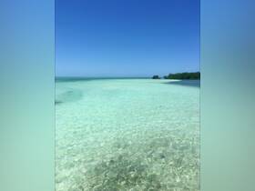 A stunning view of crystal-clear turquoise waters and a serene coastline, perfect for showcasing the beauty of tropical destinations.