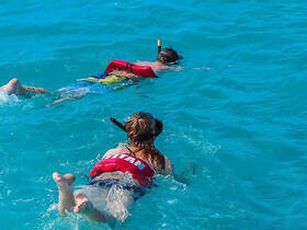 Two snorkelers explore the vibrant underwater world in crystal-clear waters, showcasing the excitement of aquatic adventures.