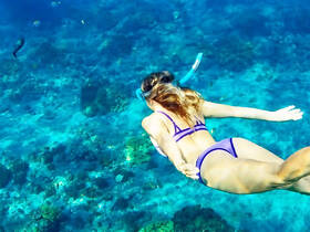 A snorkeler explores vibrant underwater life, gliding over coral reefs and colorful fish in crystal-clear waters — an unforgettable adventure for marine enthusiasts.