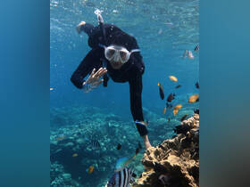 A snorkeler explores vibrant coral reefs, surrounded by colorful fish in crystal-clear waters — an unforgettable underwater adventure.