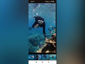A snorkeler explores vibrant coral reefs, surrounded by colorful fish in crystal-clear waters — a perfect underwater adventure.