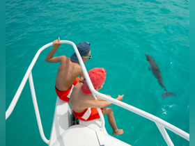 Two children excitedly watch a dolphin swimming alongside their boat in crystal-clear waters, creating a memorable wildlife encounter.