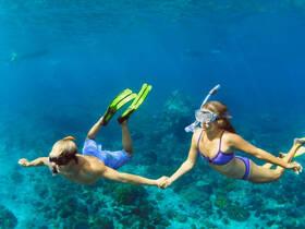 A couple enjoys snorkeling together underwater, exploring vibrant coral reefs — a perfect adventure for marine life enthusiasts.
