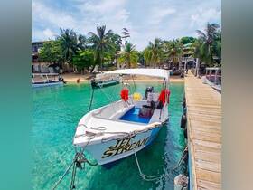 A vibrant speedboat named 'Jet Stream' docked in clear turquoise waters, surrounded by lush palm trees and a picturesque beach setting.