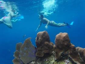 A group of snorkelers explores vibrant coral reefs underwater, showcasing the beauty of marine life and the thrill of ocean adventures.