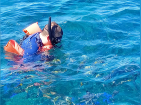 A snorkeler explores vibrant coral reefs in crystal-clear waters, showcasing the beauty of underwater adventures.
