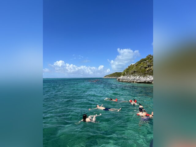 Listing image 1208122