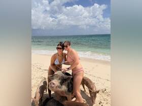 Two women interact with friendly pigs on a beautiful beach, showcasing a unique wildlife experience in the Bahamas.