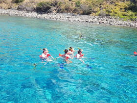 A group of snorkelers enjoys the vibrant underwater world in crystal-clear waters, making for an unforgettable aquatic adventure.