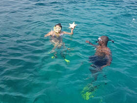 Two snorkelers enjoy a vibrant underwater experience, showcasing a starfish in the clear turquoise waters — perfect for adventure seekers and marine life enthusiasts.