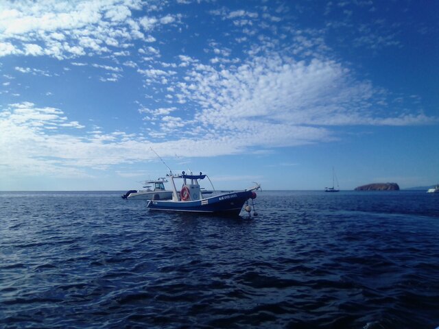 Listing image 1208562