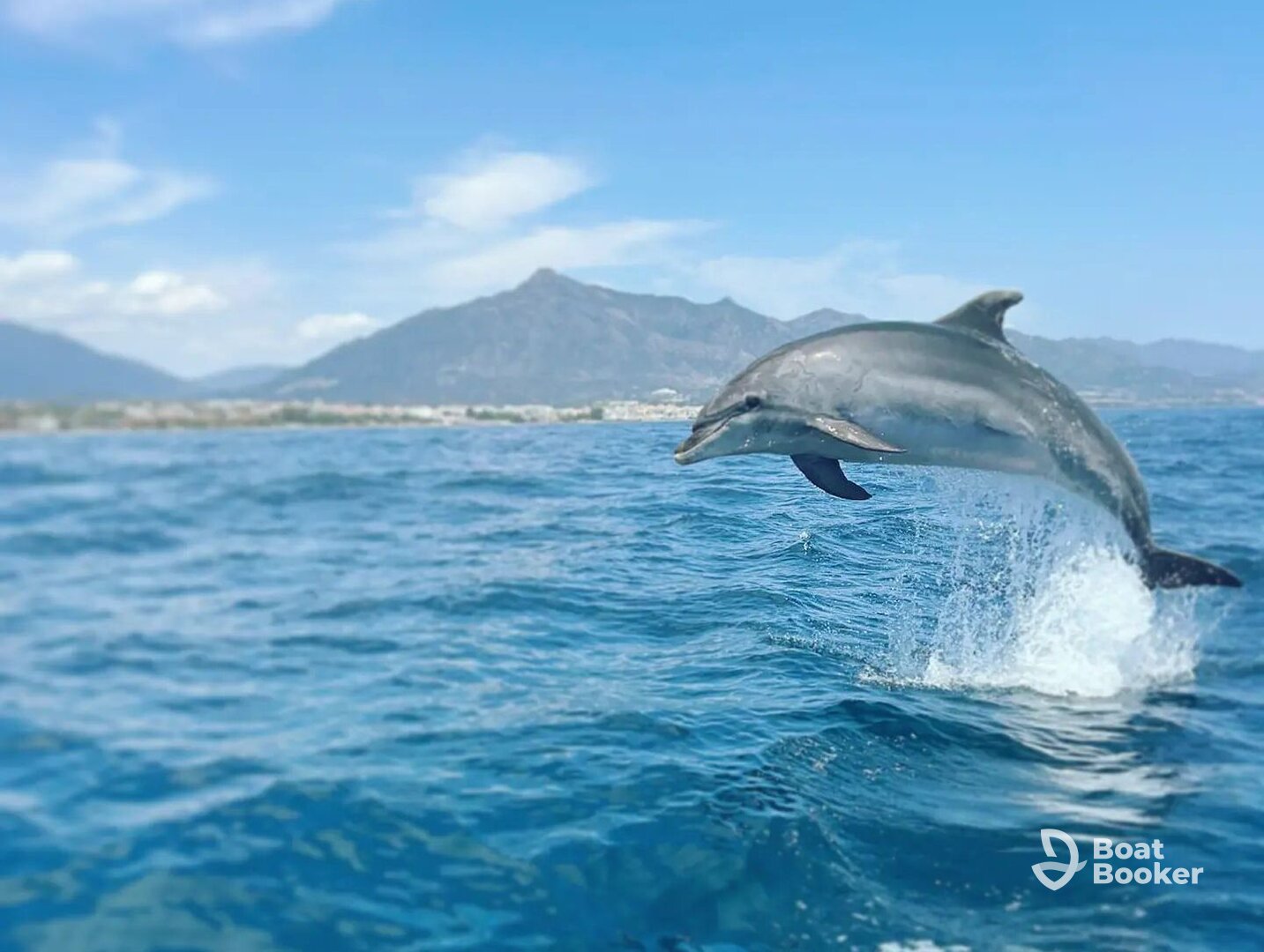Marbella Boat Tours