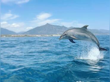 Marbella Boat Tours