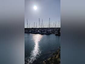A serene view of a marina filled with various boats, reflecting sunlight on the water's surface — a perfect setting for boating enthusiasts.