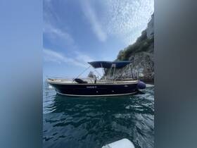 A sleek excursion boat named 'Thea' is anchored near a rocky coastline, showcasing its elegant design against a clear blue sky.