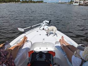 Two friends relax on a boat with their dog, enjoying a sunny day on the water — a perfect setting for leisure and companionship.