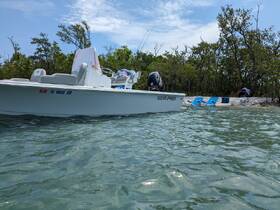 A clear view of a Sea Pro boat anchored in shallow waters, surrounded by lush greenery, perfect for a day of exploration and relaxation.